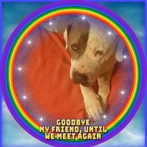 Meet your Posher, Gillian